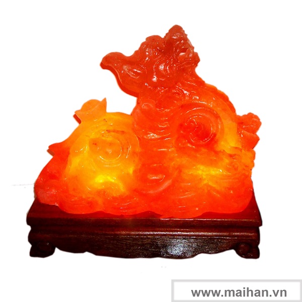 Địa chỉ mua đèn đá muối Sài Gòn uy tín, đảm bảo chất lượng hình ảnh 3 dia chi mua den da muoi sai gon uy tin dam bao chat luong hinh anh 3