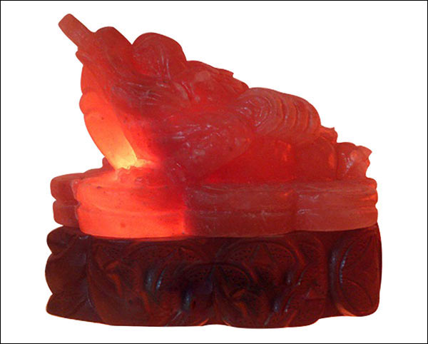 da muoi phong thuy coc ngam tien hinh 2