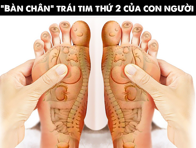 Bàn chân là trái tim thứ 2 của con người