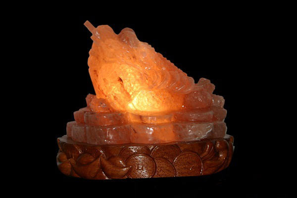 da muoi phong thuy coc ngam tien