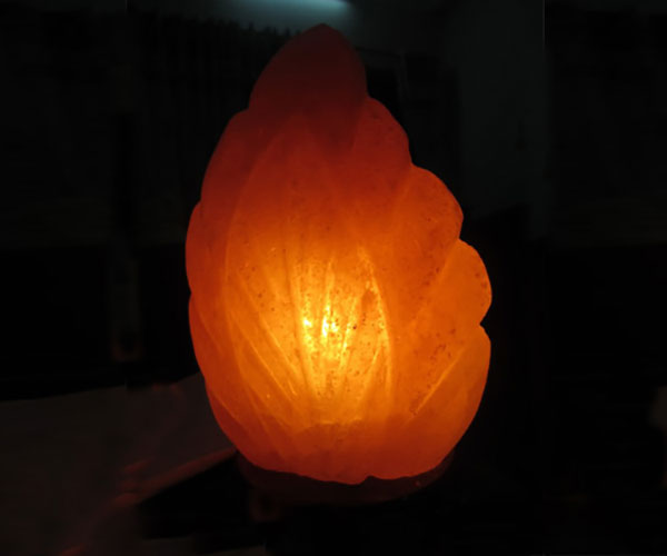 den da muoi hinh chiec la